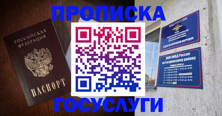 пропишу в квартире в Чистополье